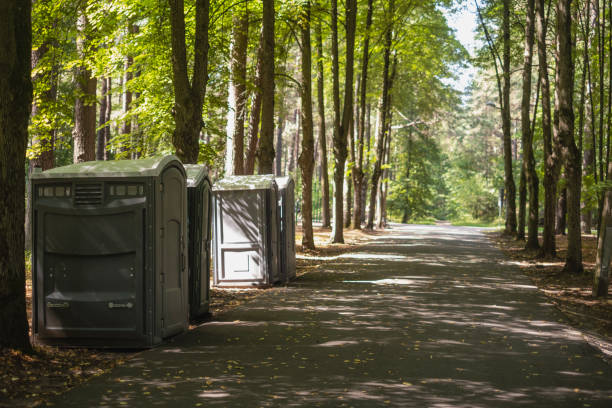 Best Event porta potty rental  in Eagle Lake, MN